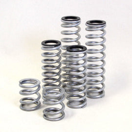 Dual Rate Springs Kit | Polaris RZR 900 Trail 50 Inch