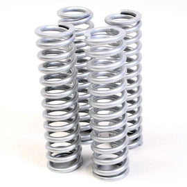 Replacement Springs - Standard Rate | Polaris RZR 800 S (Sachs)